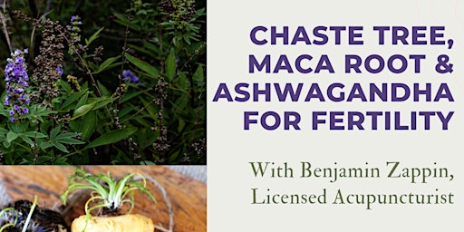 Primaire afbeelding van Chaste Tree, Maca, and Ashwagandha for Supporting Fertility