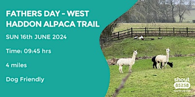 WEST HADDON ALPACAS TRAIL | 4 MILES | MODERATE | NORTHAMPTONSHIRE primary image
