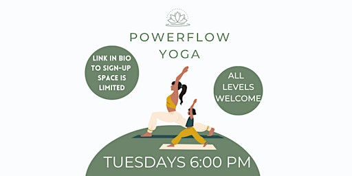 Power Flow Yoga primary image