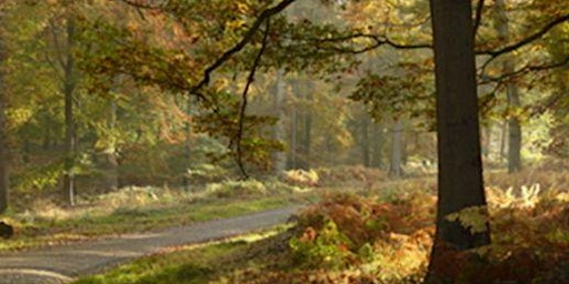 Attingham Park - Wellbeing Walk  -  Shropshire Council Residents Only