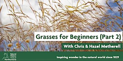 Grasses for Beginners (Part 2) primary image