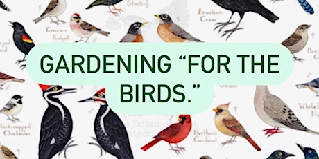 Bird friendly gardening and habitat expansion with Graham Teeple !