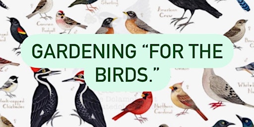 Bird friendly gardening and habitat expansion with Graham Teeple ! primary image