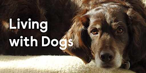 Immagine principale di Living With Dogs, Part One (Pre-recorded workshop) 