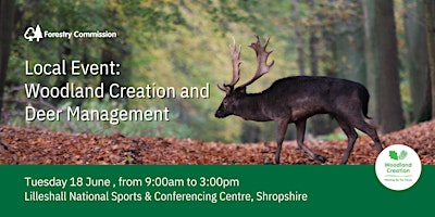Imagem principal de Woodland Creation and Deer Management in Shropshire