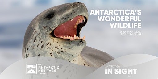 Primaire afbeelding van Antarctica's Wonderful Wildlife