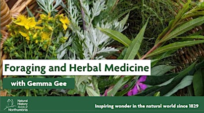 Introduction to Foraging and Herbal Medicine