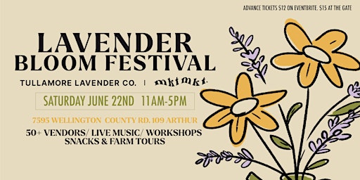 Hauptbild für Lavender Bloom Festival