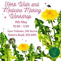 Herb walk and medicine making workshop primary image