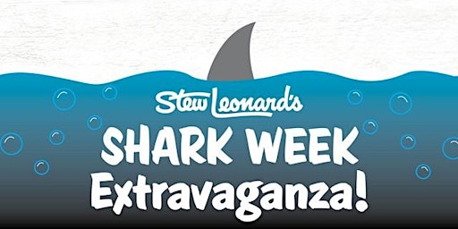 Shark Week Extravaganza for Toddlers primary image