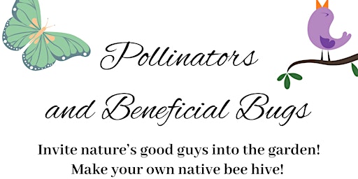Primaire afbeelding van Pollinators and Beneficial Bugs Workshop