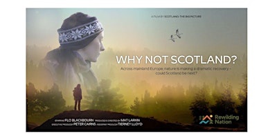 "Why Not Scotland?" Screening  primärbild