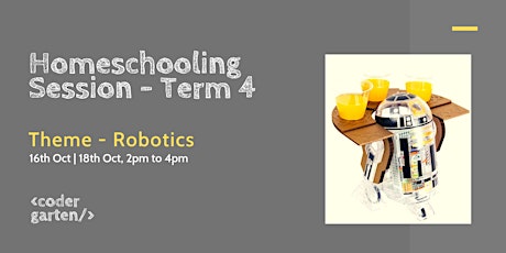 Homeschooling session Term 4 - Robotics primary image