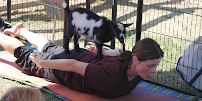Immagine principale di Goat Yoga 