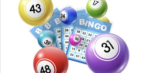 Immagine principale di Bingo 