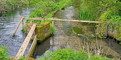 Bois Mill River Chess Bank Repairs primary image