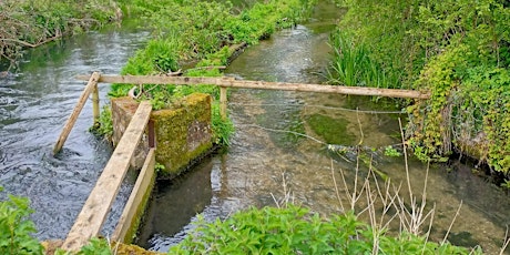 Bois Mill River Chess Bank Repairs