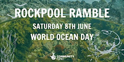 World Ocean Day - Rockpool Ramble primary image