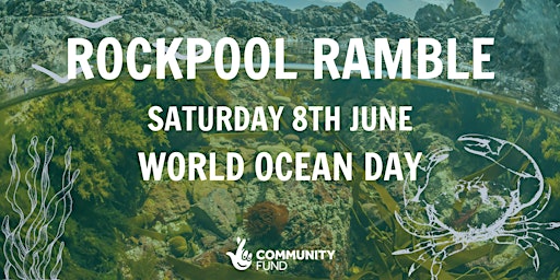 Immagine principale di World Ocean Day - Rockpool Ramble 