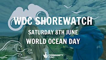 Imagem principal de World Ocean Day - WDC Shorewatch