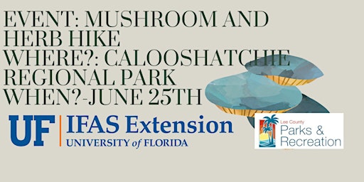 Imagem principal do evento Mushroom and herb hike Caloosahatchee Regional Park