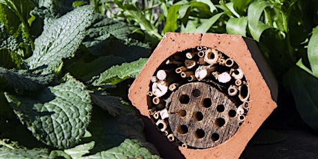 Bee a Pollinator! Native bee hotel workshop by Buzz and Dig primary image