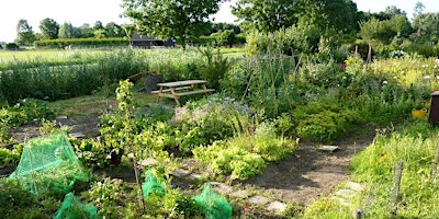 Community Well-Being: The Role of Allotments primary image