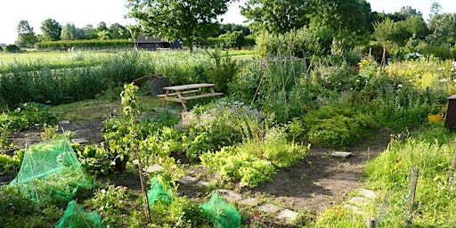 Primaire afbeelding van Community Well-Being: The Role of Allotments
