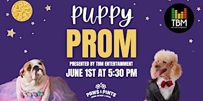 Imagem principal do evento Puppy Prom