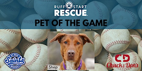 “Pet of the Game” at the St. Paul Saints