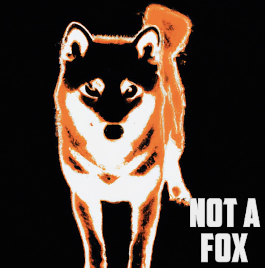 Not a Fox  Prod