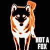 Logo de Not a Fox  Prod