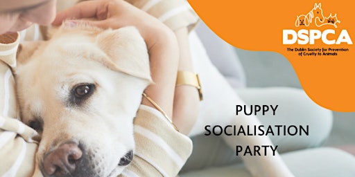 Primaire afbeelding van Puppy Socialisation Party for DSPCA Shelter