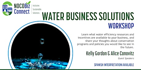 Water Business Solutions Workshop/ Taller de Soluciones del Agua (Negocios)