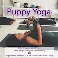 Puppy Yoga primary image