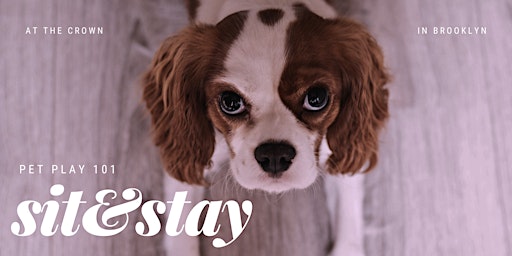 Sit & Stay — Taillor's BDSM Pet-Play  primärbild