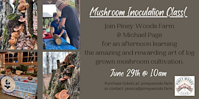 Imagem principal do evento Mushroom Inoculation Class!
