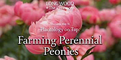 Imagem principal do evento Longwood at The Creamery - Plantology on Tap - Farming Perennial Peonies
