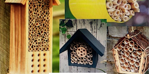 Image principale de Mason Bee Houses with the Taylor County 4-H Youth Bee Club