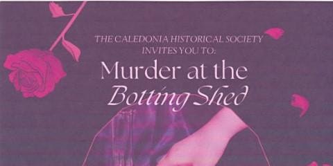 Murder at the Botting Shed primary image