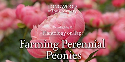 Primaire afbeelding van Longwood at The Creamery - Plantology on Tap - Farming Perennial Peonies
