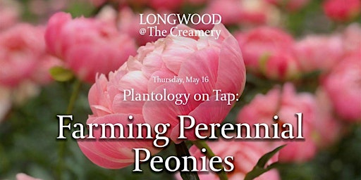 Imagen principal de Longwood at The Creamery - Plantology on Tap - Farming Perennial Peonies