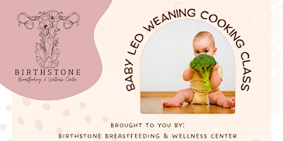 Baby Led Weaning Cooking Class primary image