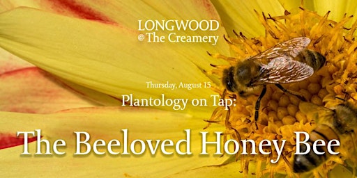 Imagem principal do evento Longwood at The Creamery- Plantology on Tap: The Beeloved Honey Bee