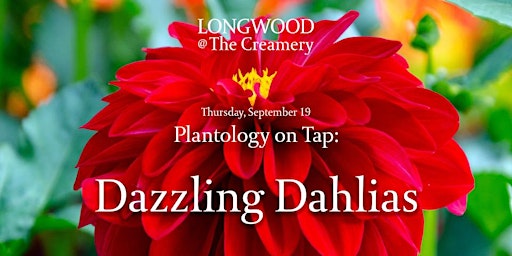 Longwood at The Creamery- Plantology on Tap: Dazzling Dahlias primary image