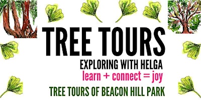 Tree Tours: Beacon Hill Park primary image