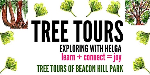 Hauptbild für Tree Tours: Beacon Hill Park