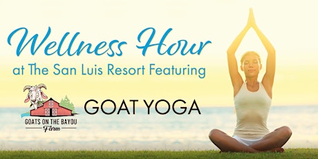 Goat Yoga at The San Luis Resort