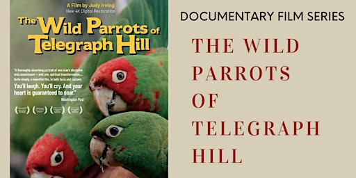 Imagem principal do evento Documentary Film Series: Wild Parrots of Telegraph Hill - Re-Mastered