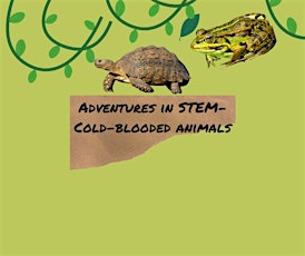 Adventures in STEM- Cold-Blooded Animals